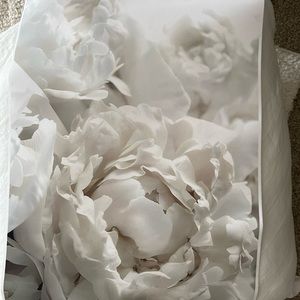 Shabby Chic canvas prints 16” X 24” ( ready to frame never used)